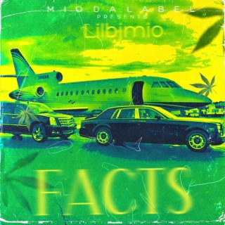 Facts (Lilbjmio Official Audio)