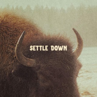 Settle Down lyrics | Boomplay Music