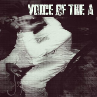 Voice Of The A
