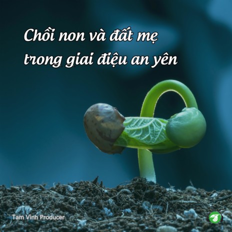 Ánh Nắng Chiếu Qua Ngọn Cây ft. AudioBay & Vprod Music | Boomplay Music