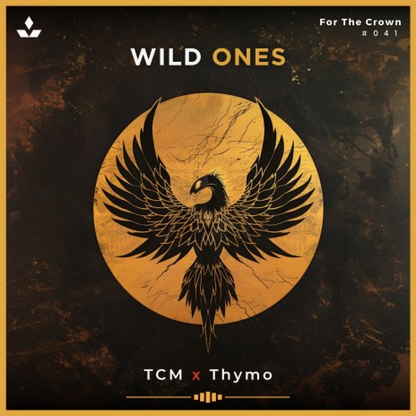 Wild Ones ft. Thymo | Boomplay Music