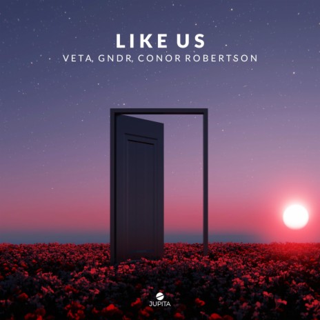 Like Us ft. GNDR & Conor Robertson | Boomplay Music