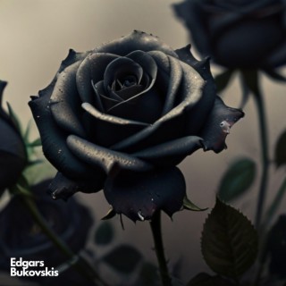 Black Roses