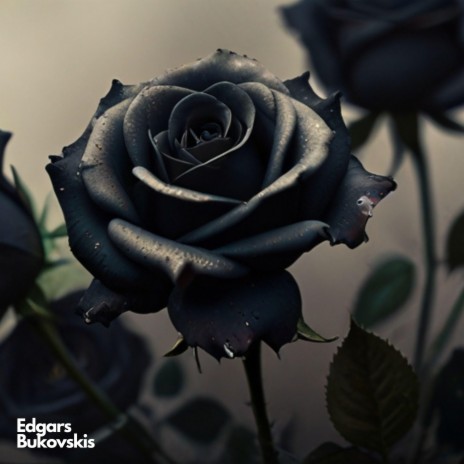 Black Roses | Boomplay Music