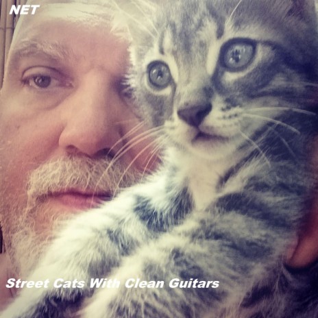 Street Cats With Clean Guitars | Boomplay Music