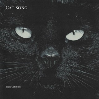 Black Cat Blues lyrics | Boomplay Music