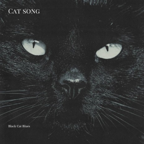 Black Cat Blues | Boomplay Music