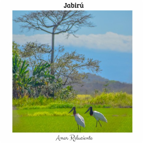 Jabirú | Boomplay Music