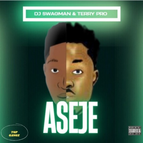 Aseje ft. Terry Pro | Boomplay Music