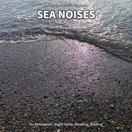 Sea Noises, Part 32 ft. Ocean Sounds & Nature Sounds