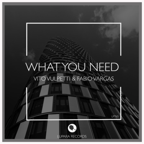 What You Need (Original Mix) ft. Fabio Vargas