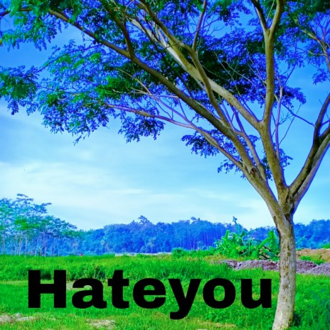 Hateyou