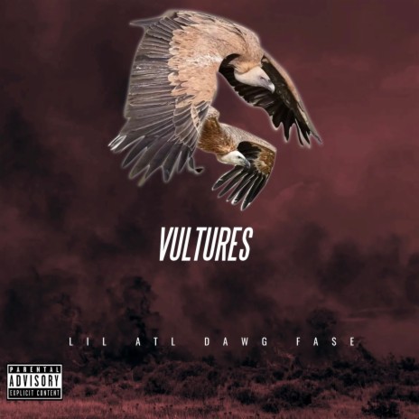 Vultures | Boomplay Music