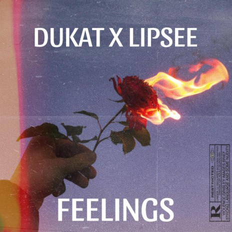 FEELINGS<3 ft. Lil lipsee | Boomplay Music