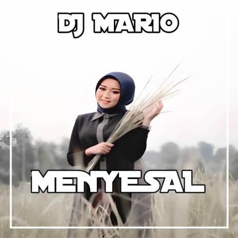 DJ Menyesal - Inst | Boomplay Music