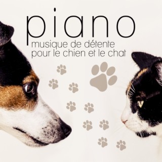 Piano: Musicothérapie de détente pour le chien et le chat – Musique relaxante pour animaux, Douce piano pour calmer l'anxiété de la séparation, Sommeil pasible