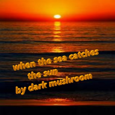 when the sea catches the sun