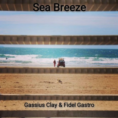 Sea Breeze ft. Fidel Gastro | Boomplay Music