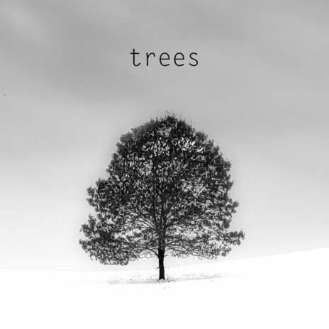 Trees | Boomplay Music