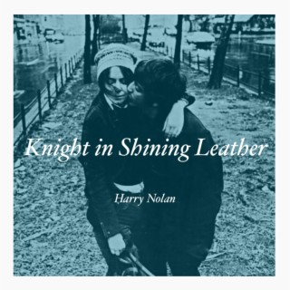 Knight in Shining Leather lyrics | Boomplay Music