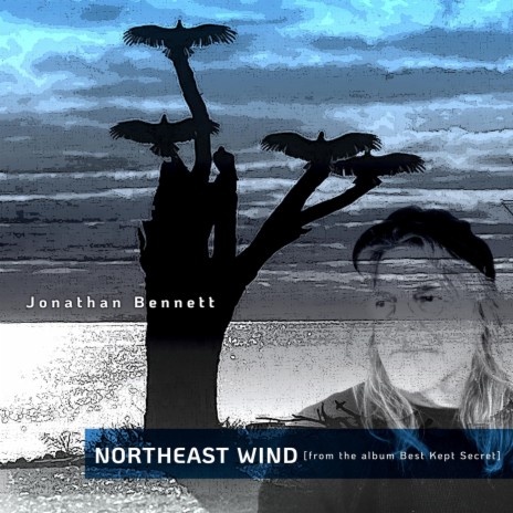 Northeast Wind | Boomplay Music