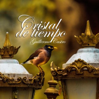 Cristal de Tiempo