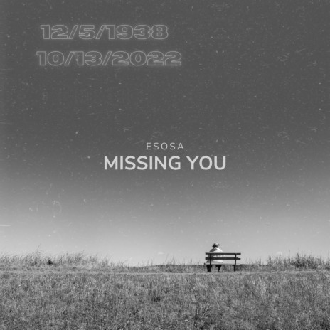 MISSING YOU | Boomplay Music