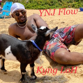 YNJ Flow