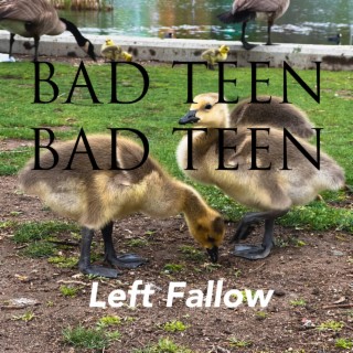 Left Fallow