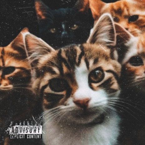 Tha Five Pillars ft. Davila, Severe, dizziablo & derek | Boomplay Music