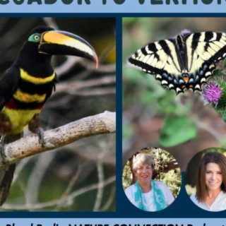Nature Connection Destinations - Ecuador to Vermont