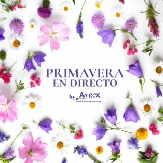 Primavera en directo by AMREX