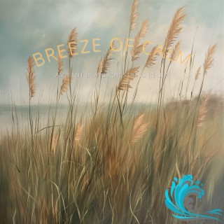 Breeze of Calm: Ambient Beats for Stress Relief