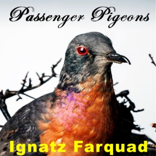 Passenger Pigeons