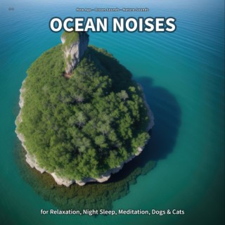 ** Ocean Noises for Relaxation, Night Sleep, Meditation, Dogs & Cats