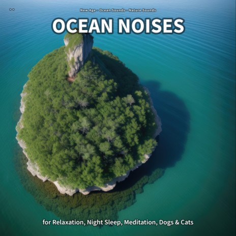 Ocean Noises, Part 68 ft. Ocean Sounds & Nature Sounds