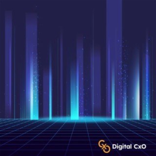 Digital CxO Podcast, Ep. 13 - Metaverse for Business