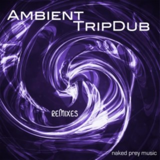 Ambient TripDub Remixes