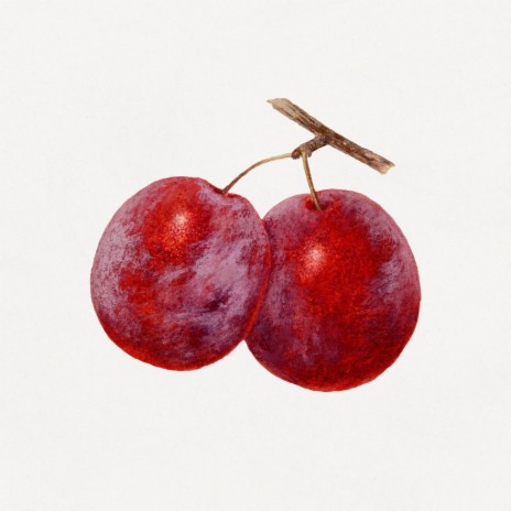 red cherries | Boomplay Music
