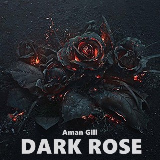 Dark Rose