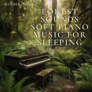 Forest Sounds: Soft Piano Music for Sleeping