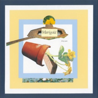 Marigold