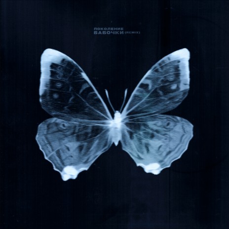 Бабочки (Remix)
