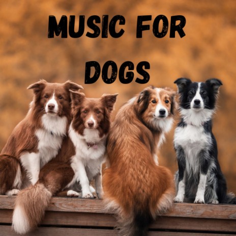 Music Therapy For Anxious Dogs ft. Music For Dogs Peace, Calm Pets Music Academy & Relaxing Puppy Music | Boomplay Music