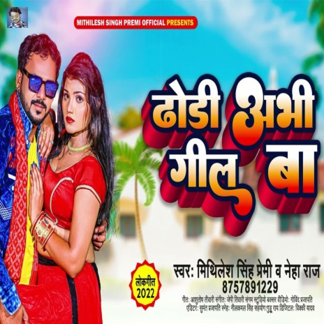 Dhodi Abhi Geel Ba ft. Neha Raj | Boomplay Music