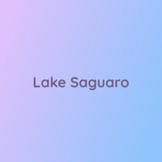 Lake Saguaro