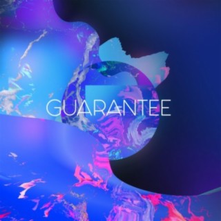 Guarantee