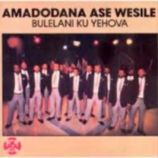 Amadonda Ase Wesile