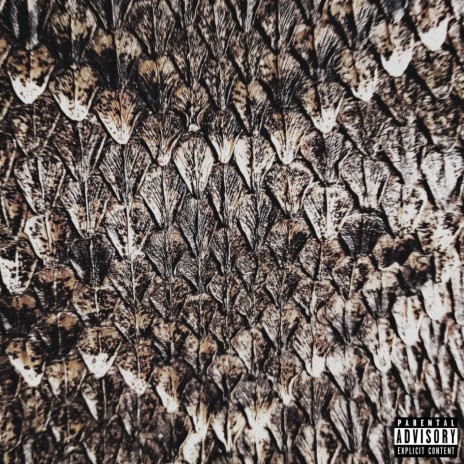 SNAKESKIN | Boomplay Music