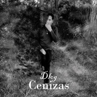 Cenizas lyrics | Boomplay Music